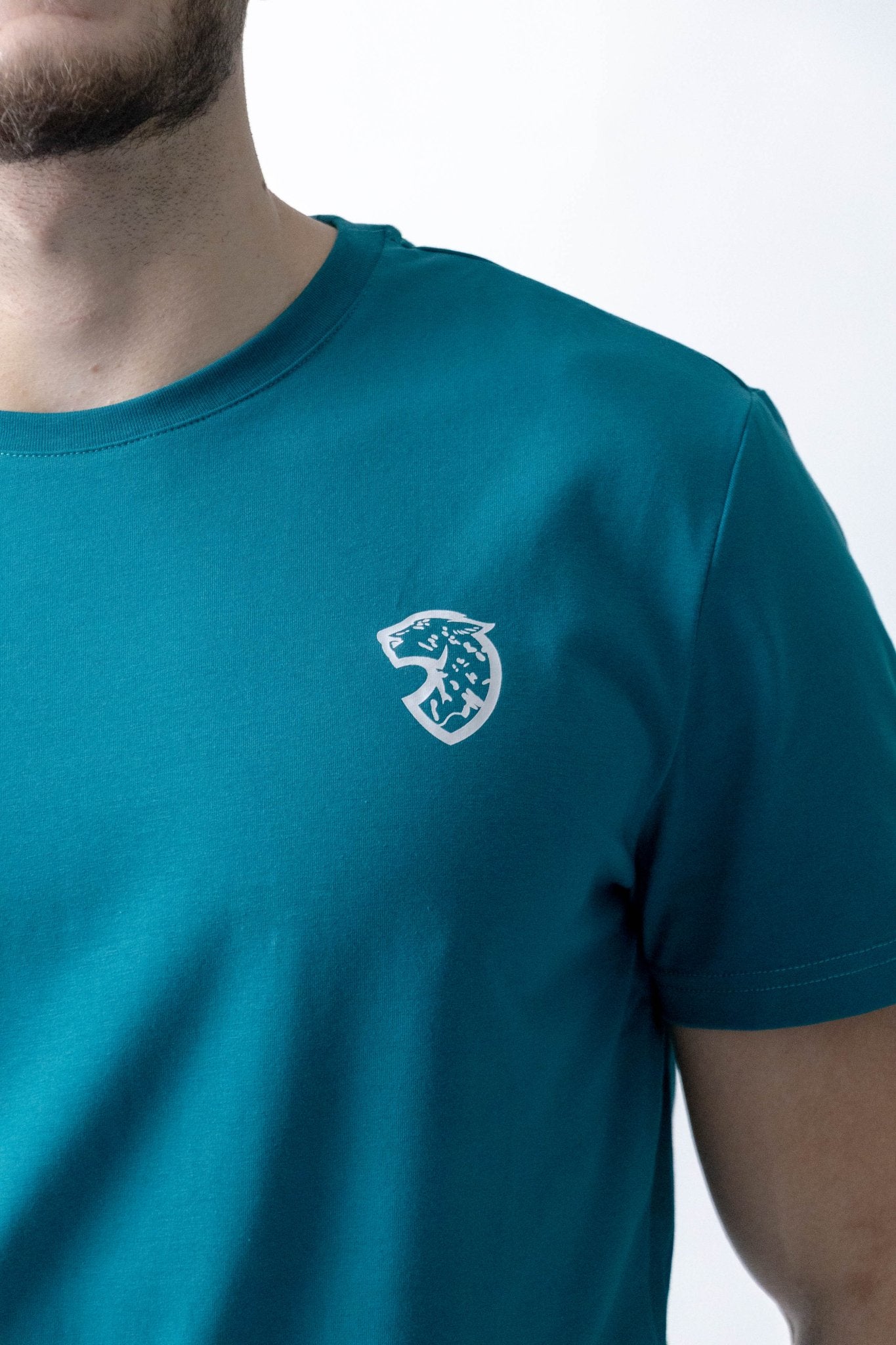 Basic Beast T-shirt - Teal - Menabeast